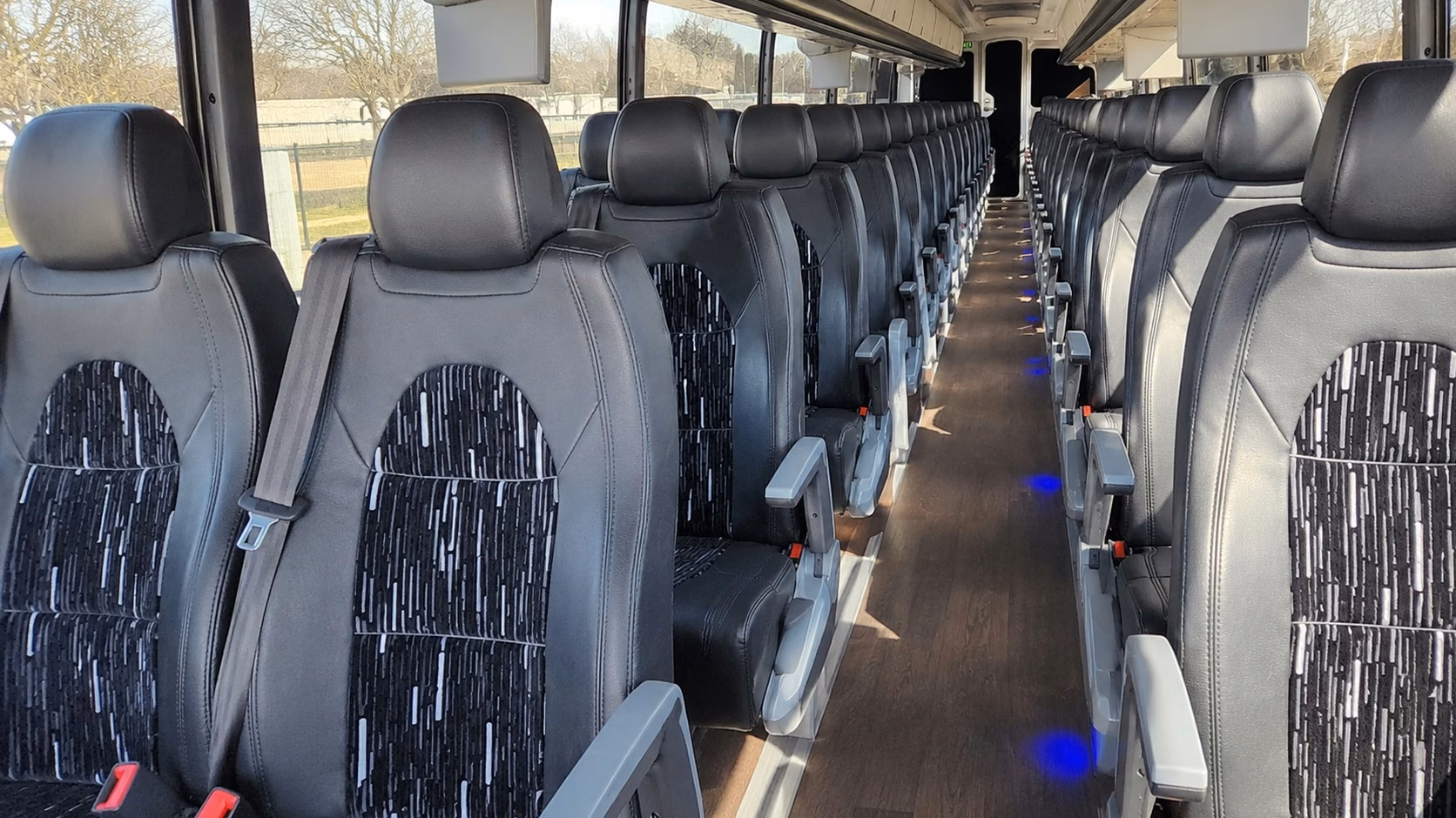 charter buses and minibuses for bronx zoo field trips